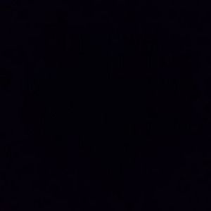 Meet your Posher, Latoya